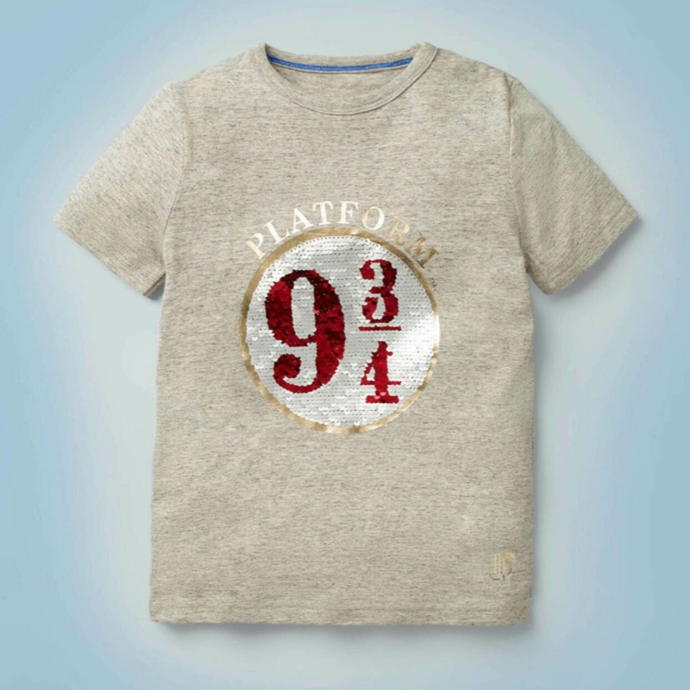 Harry Potter 9 3/4 t shirt in grey